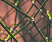 En route vers une blockchain plus responsable ?