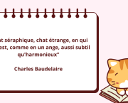 Le chat et l'écrivain
