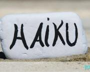 ça y est, ça commence ?