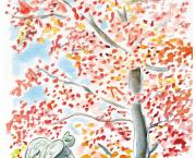 Automne flamboyant