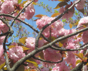 Premières impressions