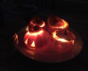 Etre ou ne pas être dans un bocal, that's the question.