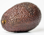 Avocat