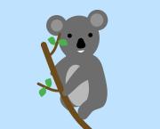 I - Colas, le garçon-koala