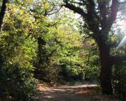 Au fin fond de la Cochinchine.