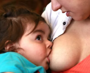 Quand Margot dégrafa son corps sage...