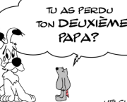 LES LARMES D'IDEFIX