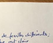 Inès (Saint Jean de Luz)