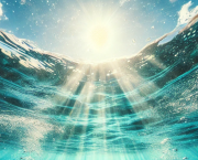 The Ocean