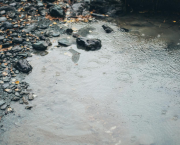 L’odeur de la pluie sur la pierre
