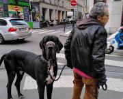 L'homme qui n'était plus seul