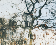 Photo-poème : L'impermanence