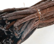 Gousse de Vanille vs Extrait vs Pâte : Le Guide Ultime pour Choisir la Bonne Vanille sous toutes ses Formes