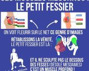 Ces muscles méconnus : Le petit fessier