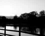 Les alliés du temps...