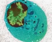 SMASH PATRIARCHY ? SMASH COVIDISM AND CORRUPTION.