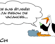 cigogne épuisée