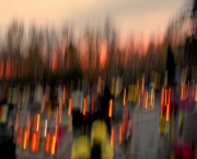 Mini expo photo 16 : Le cimetière