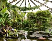 "Petite Venise" suivi de "La porte astrale", S39