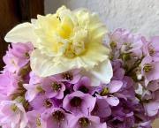 Le bouquet du Dimanche 6 Mars