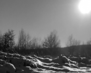 La Fable du manchot.