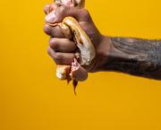 Pourquoi notre relation à la nourriture est-elle si compliquée ?