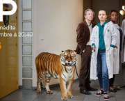 HP - Saison 1