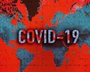 A Few Thoughts on Covid and Covidians (before Tsunami)