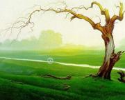 BIVACCO NELLA PALUDE