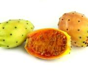 Les saisons d’un papa solo