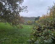 Le jardin du 29 Octobre