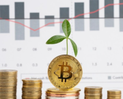Bitcoin ETFs “on fire”