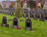 Là où les rangs se taisent