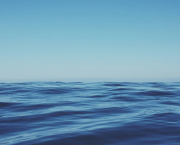 En eaux troubles
