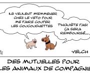 Mutuelles pour animaux de compagnie