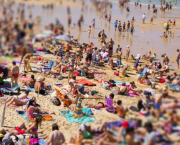 Le tourisme de masse ravage le monde comme des nuées de criquets sauvages