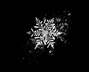 Un flocon de neige