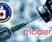 What do Donald Trump and Julian Assange have in Common ?