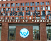 Politics is not showcase : THE COVID19 CASE.