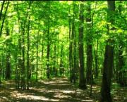 Une rencontre possible