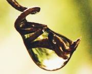 #ConfidencesDAutrice : Fais vriller