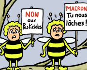 abeilles en péril