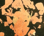 L'Œuf des Étoiles