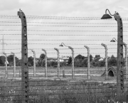 Retour à Birkenau de Ginette Kolinka