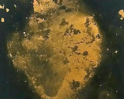 L'Alchimie de la Patience