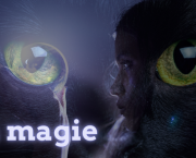 Magie