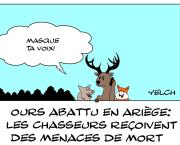 ours abattu en Ariège : les chasseurs menacés de mort