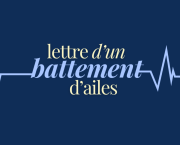 Lettre d'un battement d'ailes