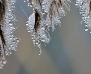 Nature enchanteresse