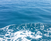 La nuit du chant des sirènes